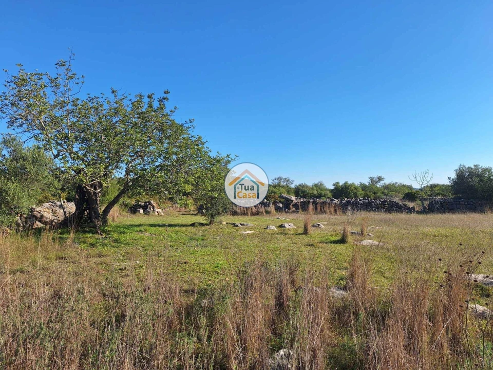 Terreno para Venda em Santa Catarina da Fonte do Bispo Foto 17