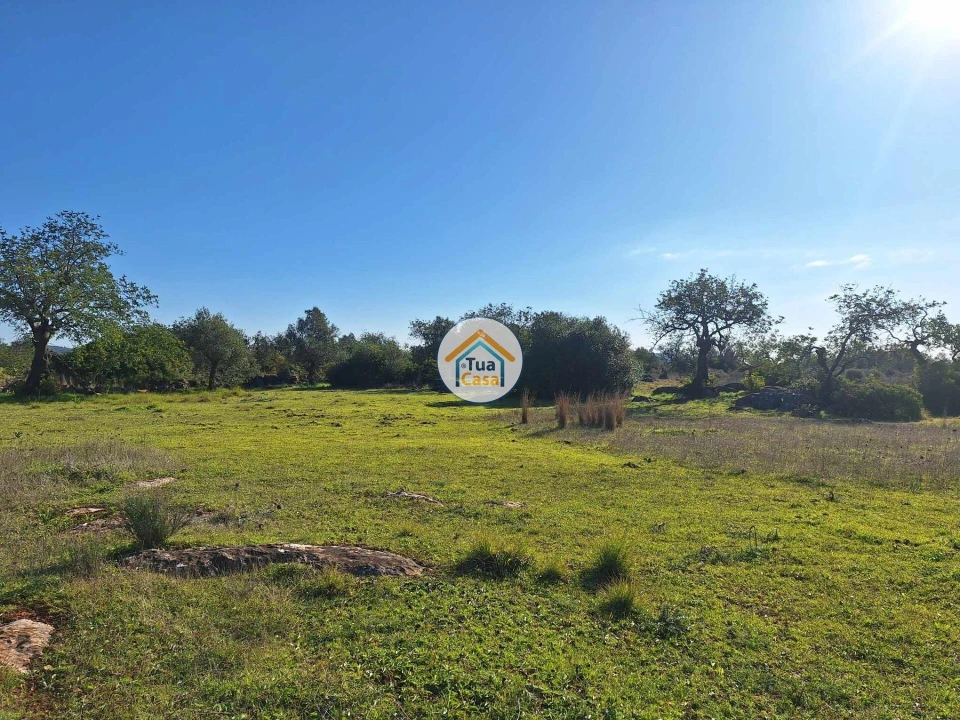 Terreno para Venda em Santa Catarina da Fonte do Bispo Foto 11