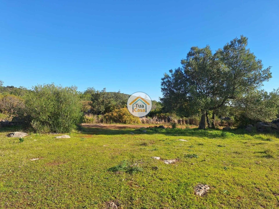 Terreno para Venda em Santa Catarina da Fonte do Bispo Foto 14