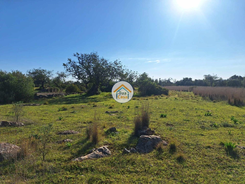 Terreno para Venda em Santa Catarina da Fonte do Bispo Foto 9