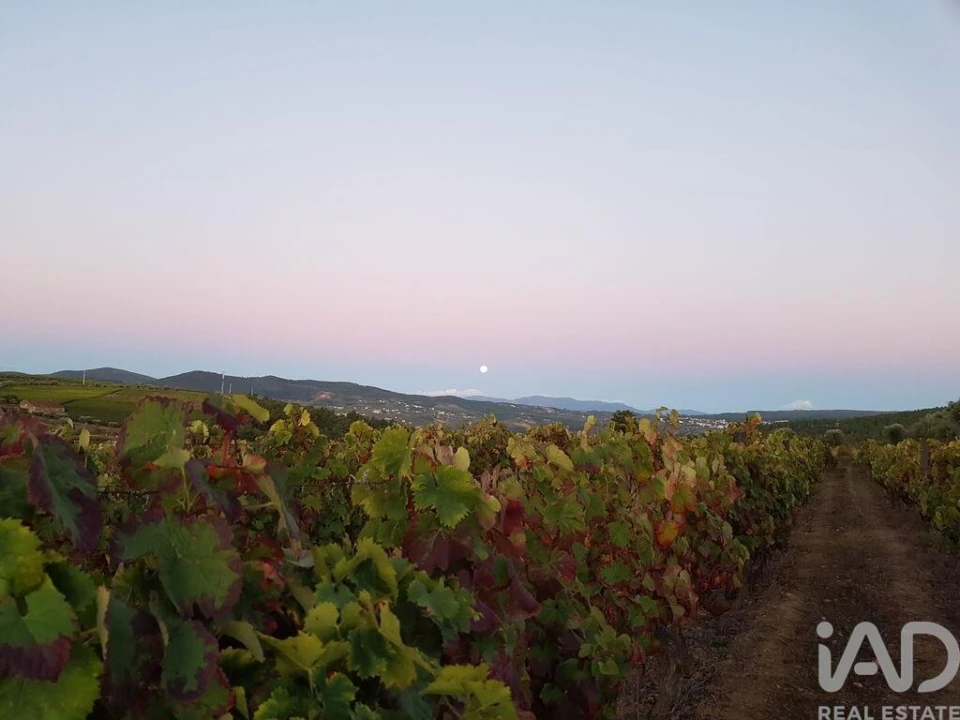 Moradia para Venda em Alijo Foto 21