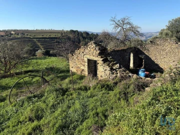 Moradia para Venda em Alijo