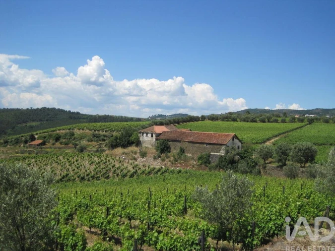 Moradia para Venda em Alijo Foto 18