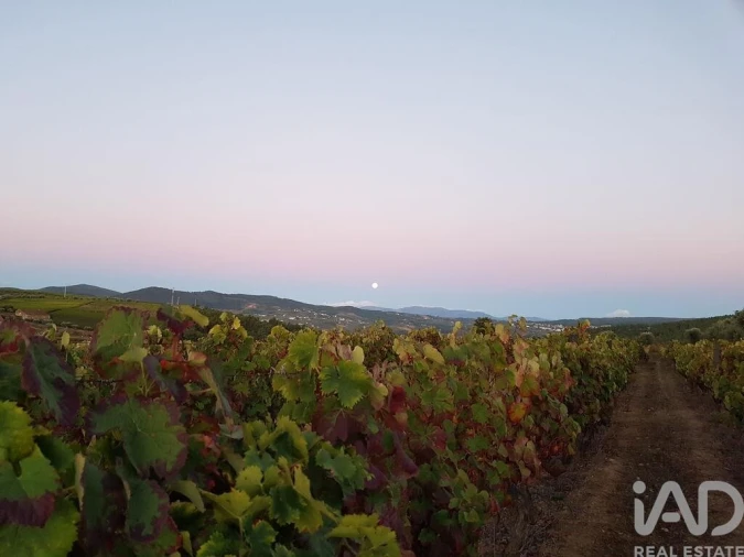 Moradia para Venda em Alijo Foto 21