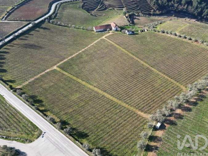 Moradia para Venda em Alijo Foto 28