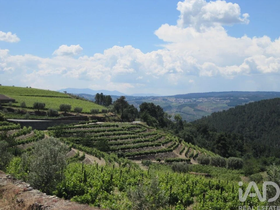 Moradia para Venda em Alijo Foto 17