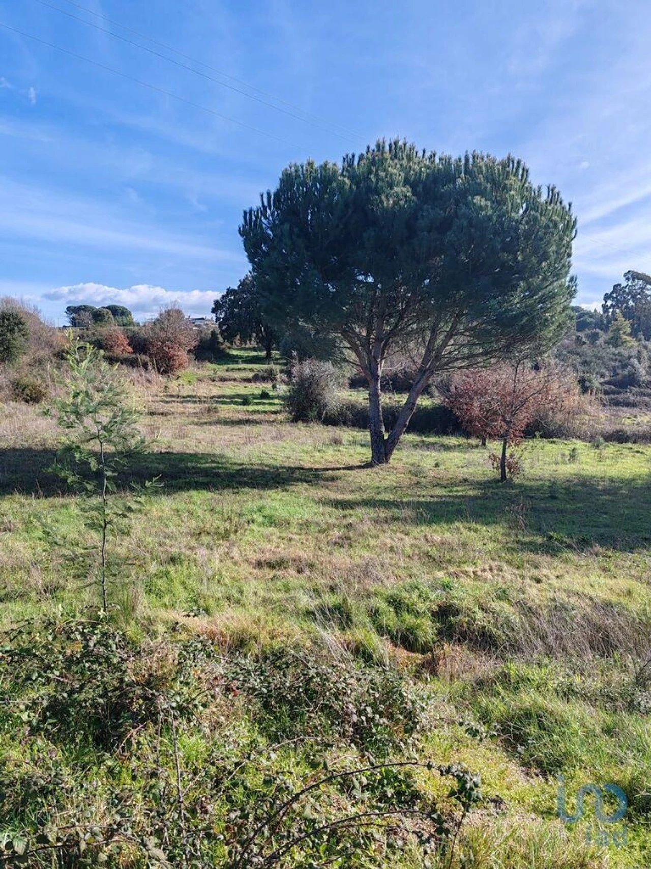 Terreno para Venda em Povoa de Midões Foto 10