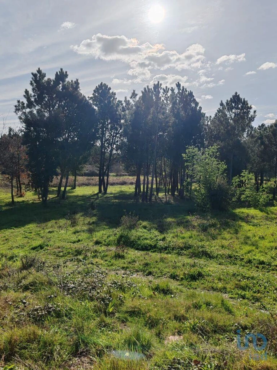 Terreno para Venda em Povoa de Midões Foto 9