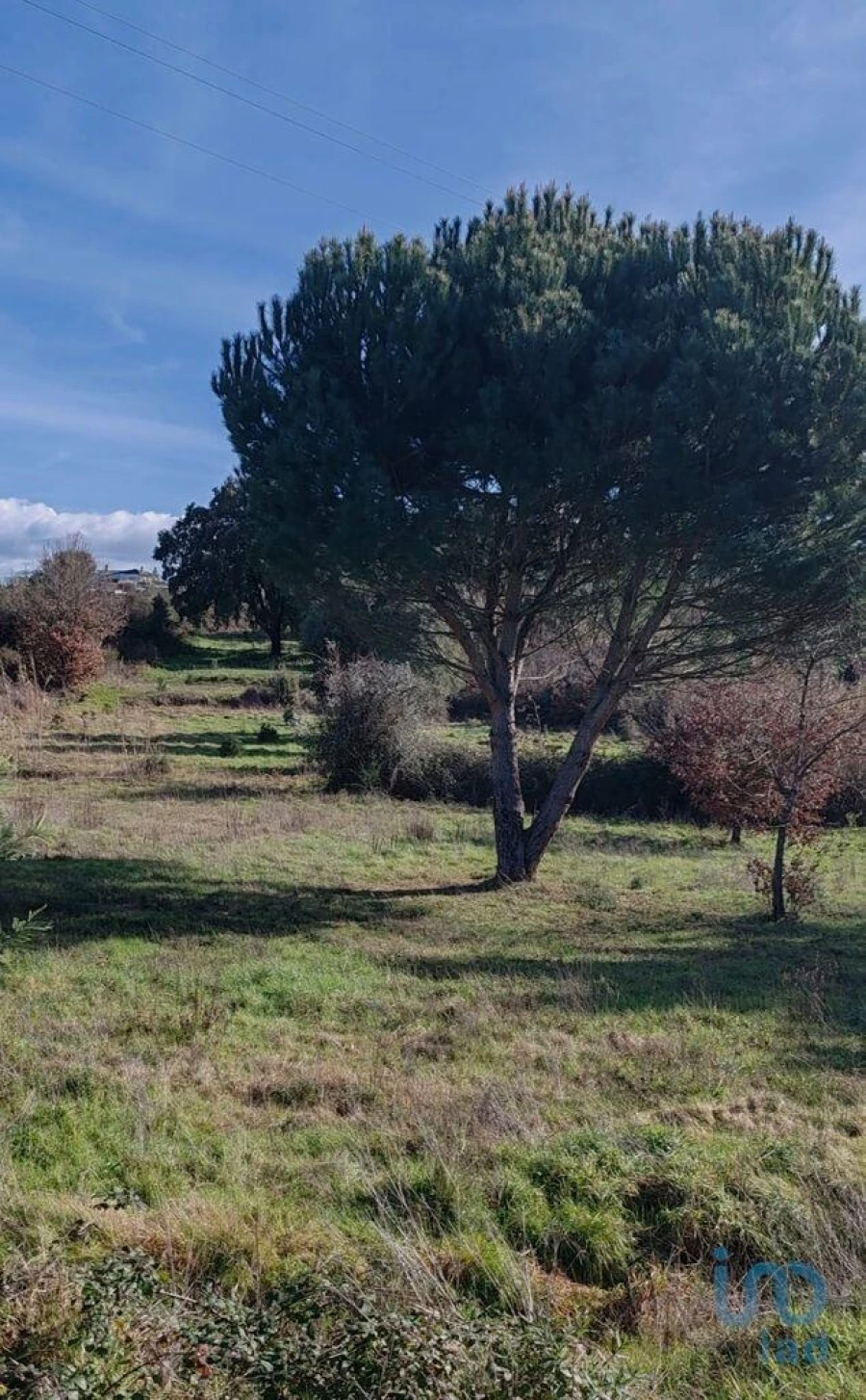 Terreno para Venda em Povoa de Midões Foto 11