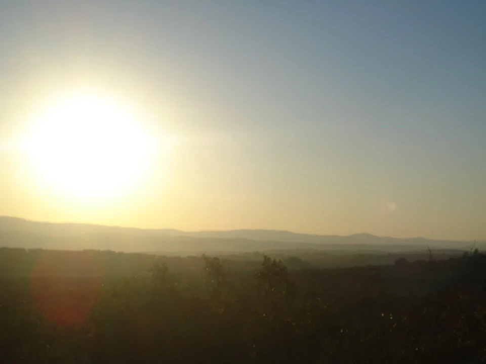 Terreno para Venda em Borba (Matriz) Foto 12