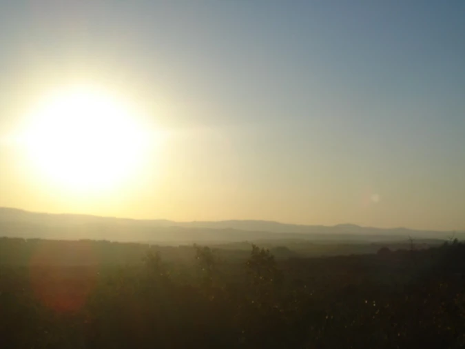 Terreno para Venda em Borba (Matriz) Foto 12