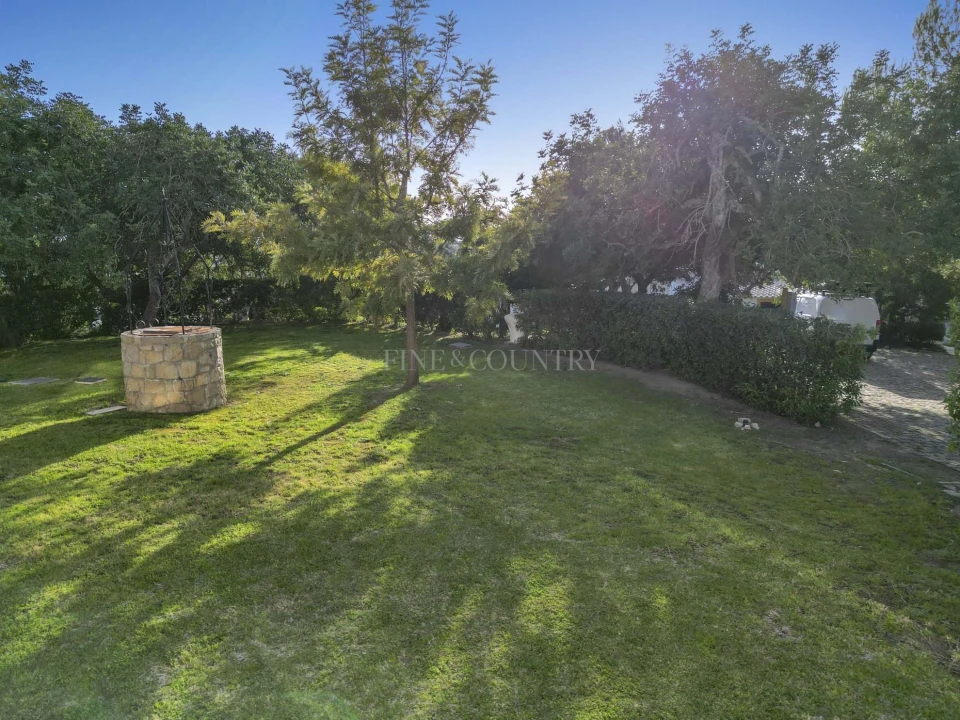 Apartamento T1 para Venda em Lagoa e Carvoeiro Foto 13