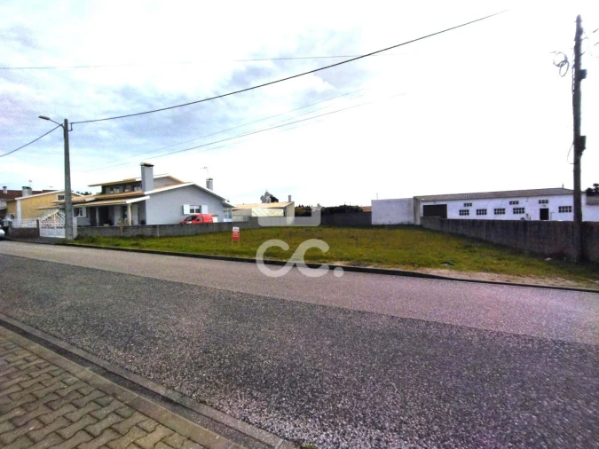 Terreno para Venda em Vieira de Leiria Foto 8