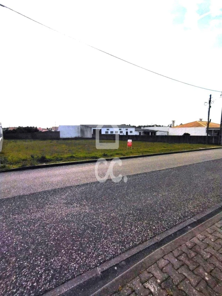 Terreno para Venda em Vieira de Leiria Foto 7