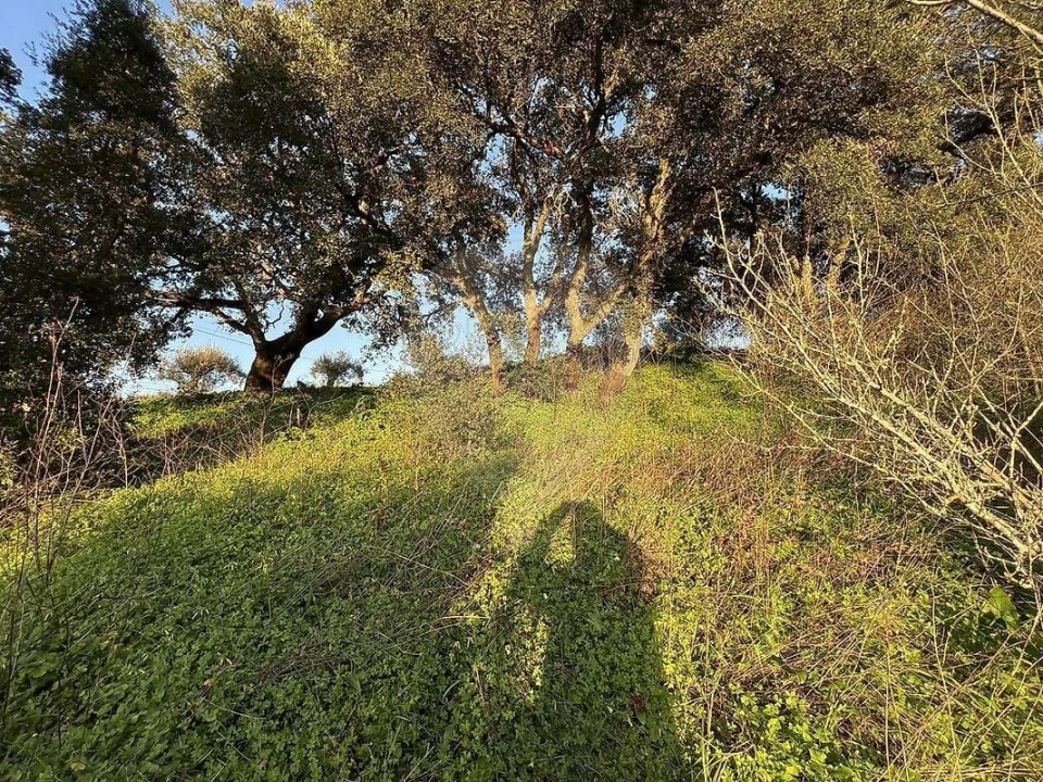 Moradia T3 para Venda em Rio Maior Foto 22