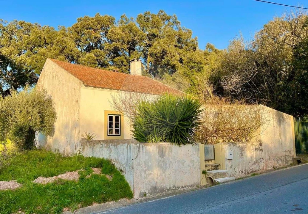 Moradia T3 para Venda em Rio Maior Foto 19