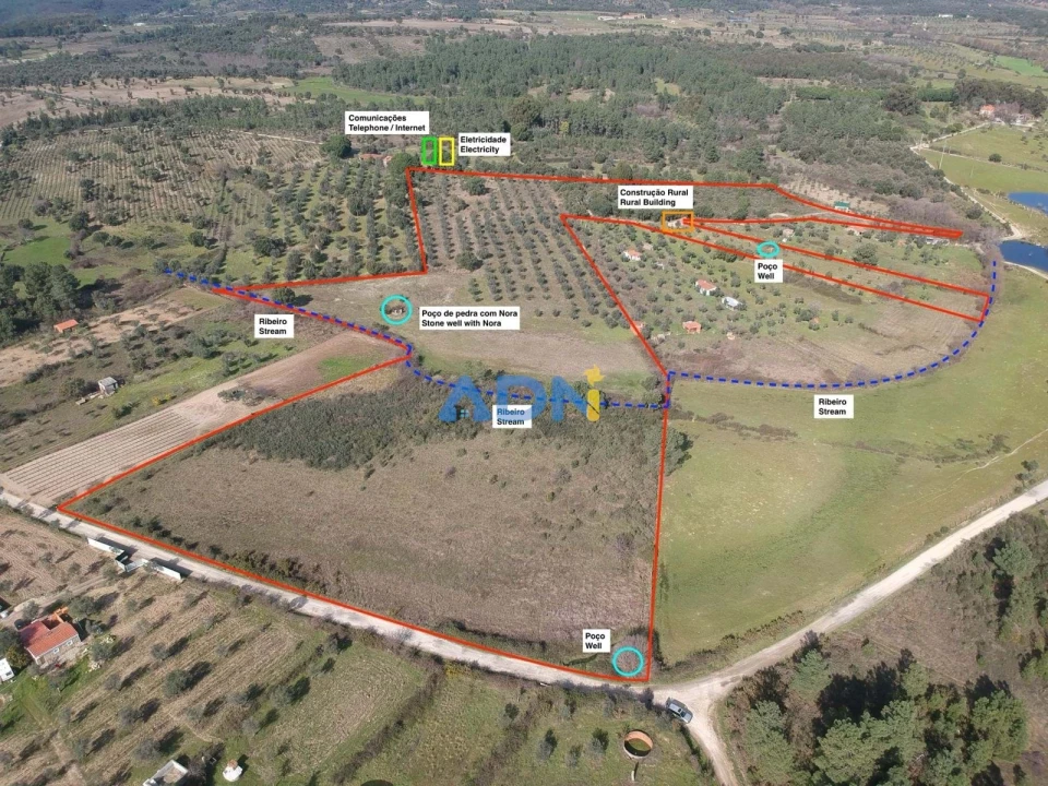 Terreno para Venda em Castelo Branco Foto 25