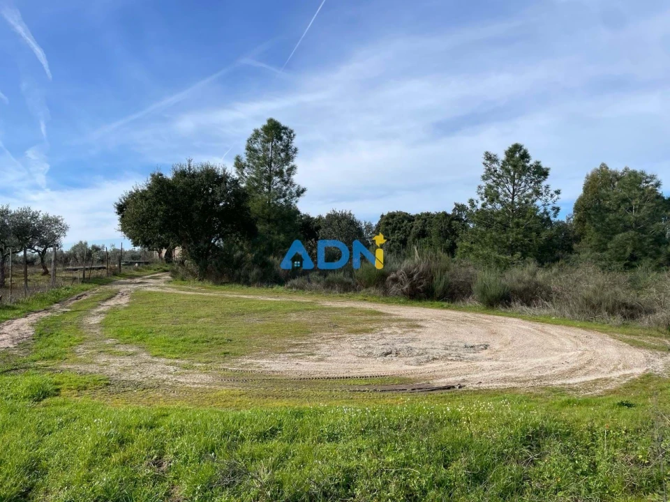 Terreno para Venda em Castelo Branco Foto 10