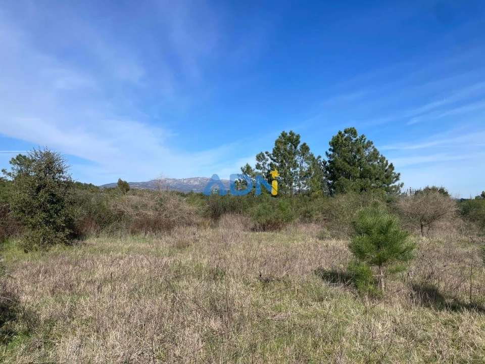 Terreno para Venda em Castelo Branco Foto 22