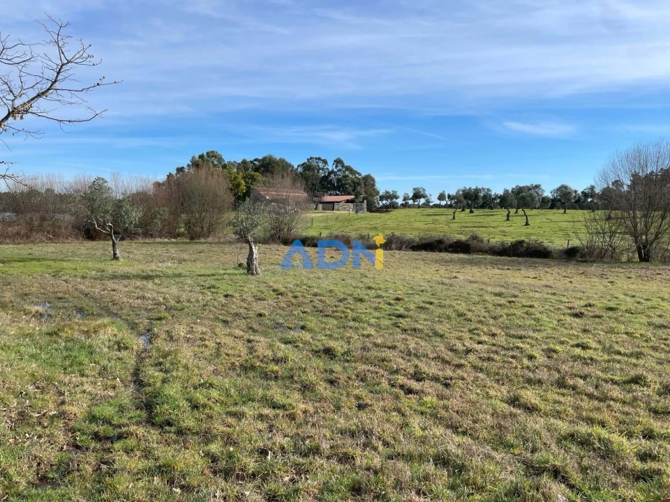 Terreno para Venda em Castelo Branco Foto 6