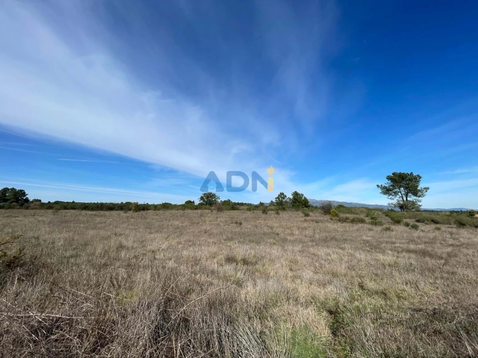 Terreno para Venda em Castelo Branco Foto 23