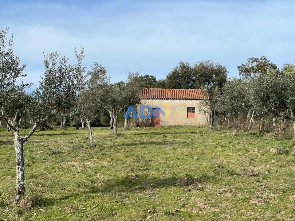 Terreno para Venda em Castelo Branco Foto 2