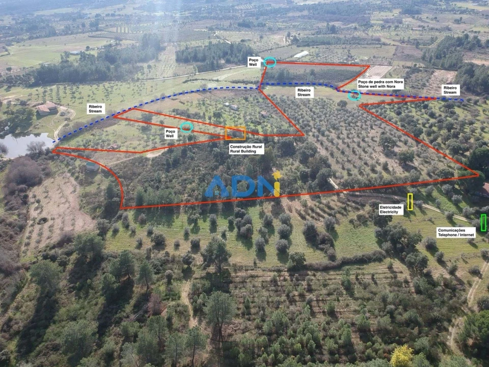Terreno para Venda em Castelo Branco Foto 26
