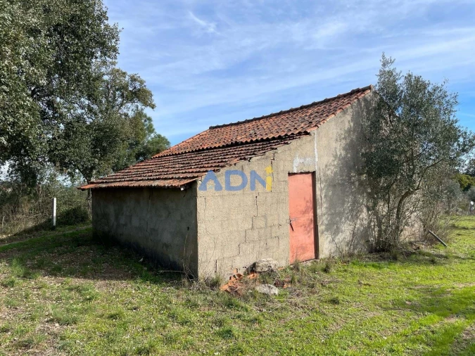 Terreno para Venda em Castelo Branco Foto 9