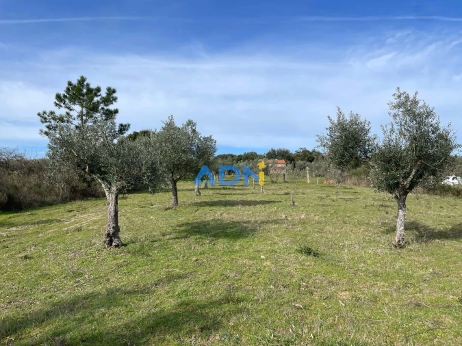 Terreno para Venda em Castelo Branco Foto 8