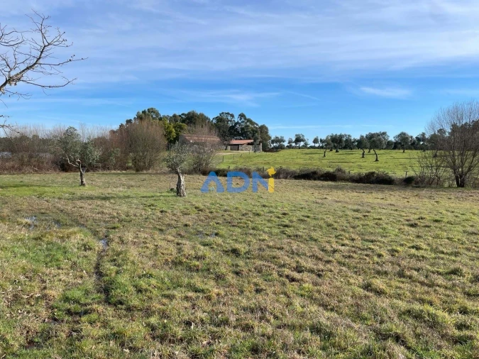 Terreno para Venda em Castelo Branco Foto 6
