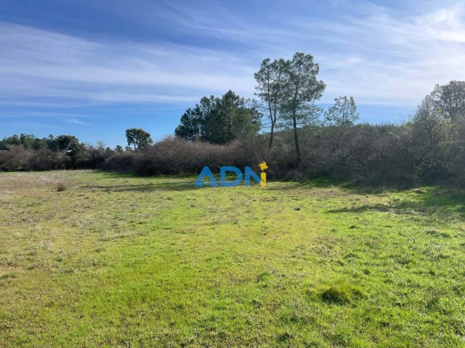 Terreno para Venda em Castelo Branco Foto 19