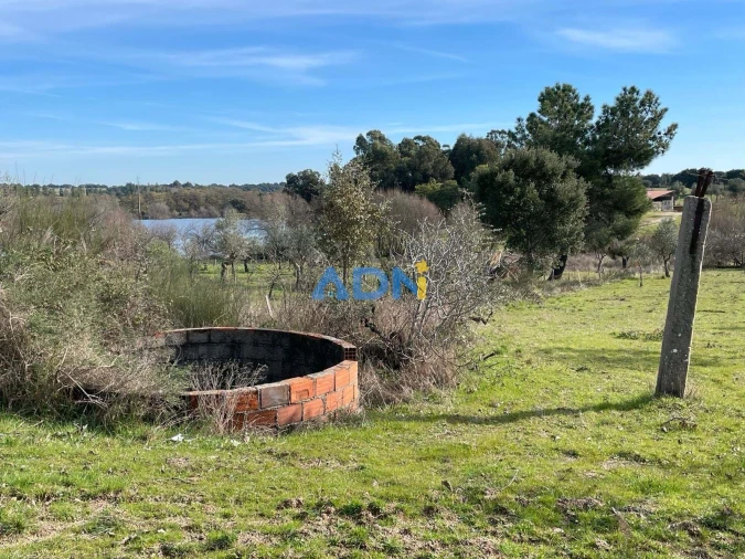 Terreno para Venda em Castelo Branco Foto 3
