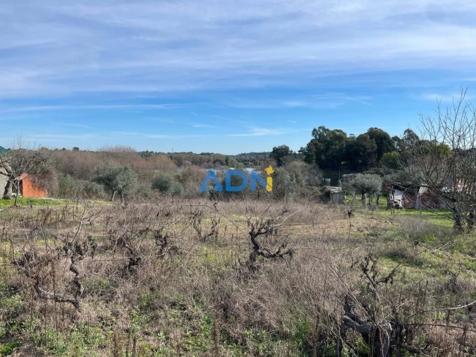 Terreno para Venda em Castelo Branco Foto 11