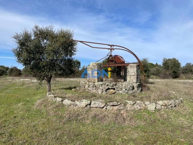 Terreno para Venda em Castelo Branco