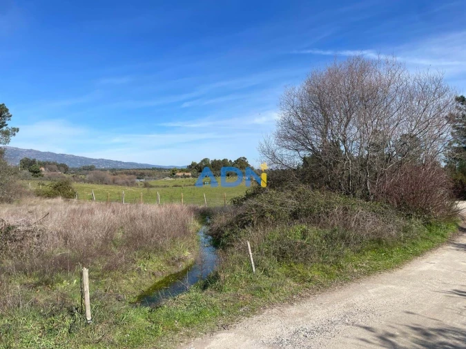 Terreno para Venda em Castelo Branco Foto 20