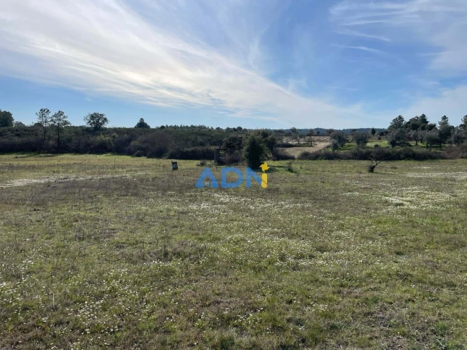 Terreno para Venda em Castelo Branco Foto 13