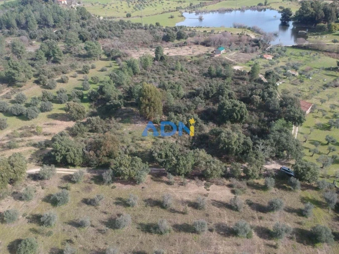 Terreno para Venda em Castelo Branco Foto 24