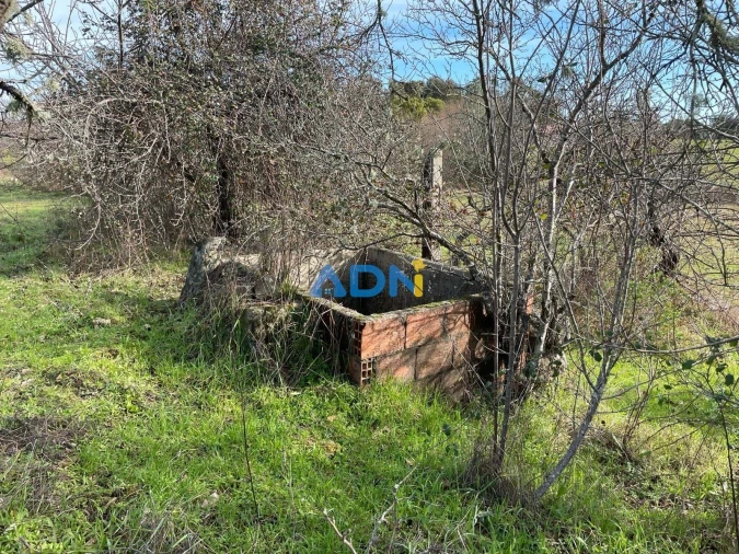 Terreno para Venda em Castelo Branco Foto 5