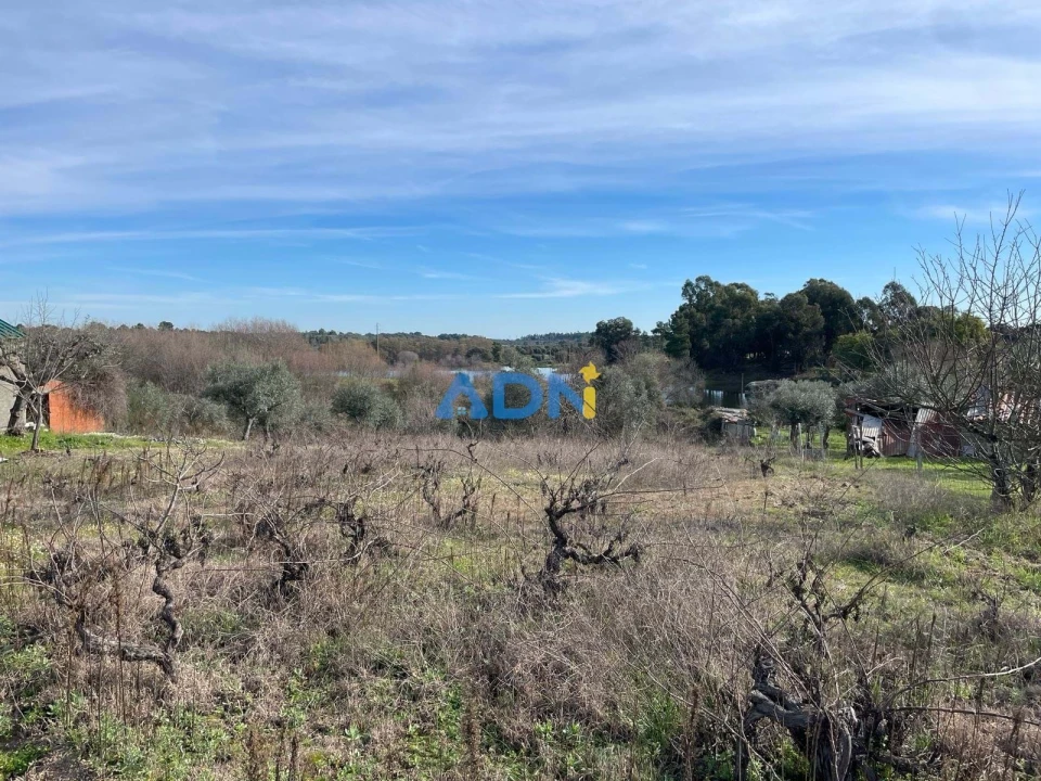 Terreno para Venda em Castelo Branco Foto 11