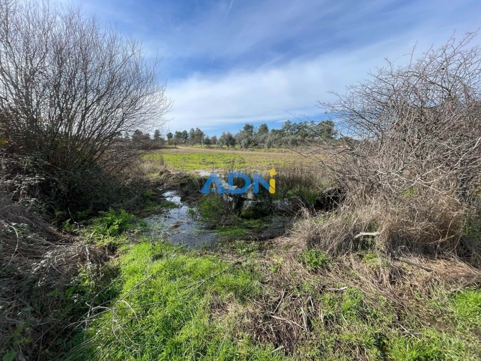 Terreno para Venda em Castelo Branco Foto 4
