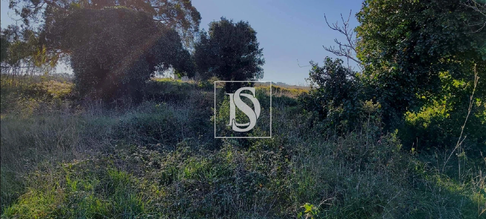 Terreno para Venda em Reguengo Grande Foto 17