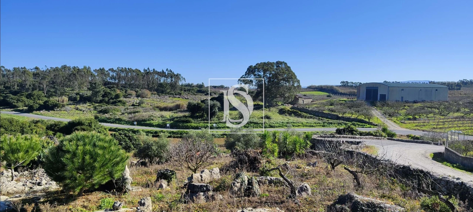 Terreno para Venda em Reguengo Grande Foto 3