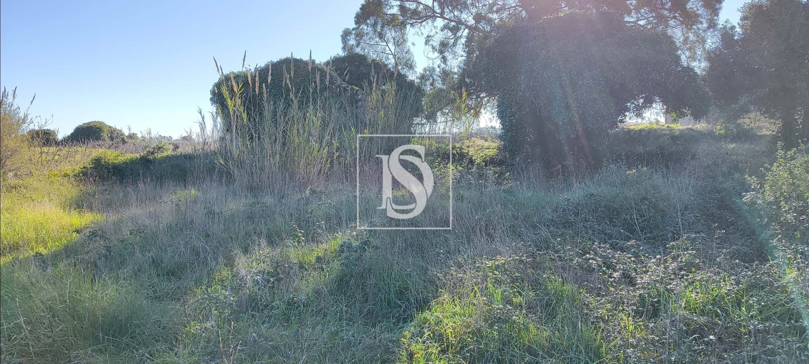 Terreno para Venda em Reguengo Grande Foto 16