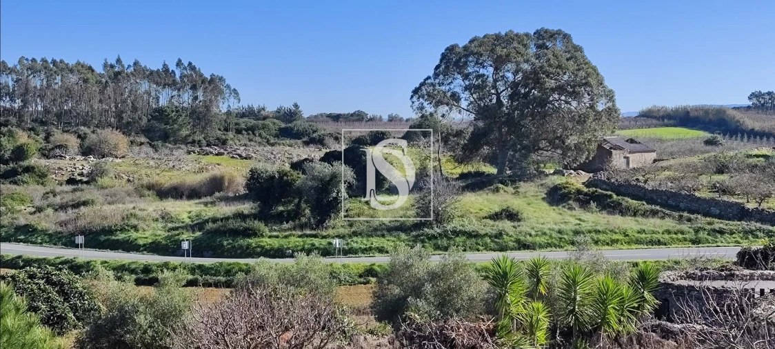 Terreno para Venda em Reguengo Grande