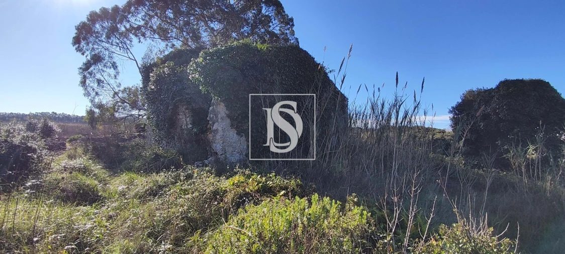 Terreno para Venda em Reguengo Grande Foto 13