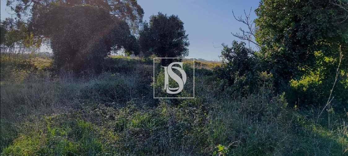 Terreno para Venda em Reguengo Grande Foto 17