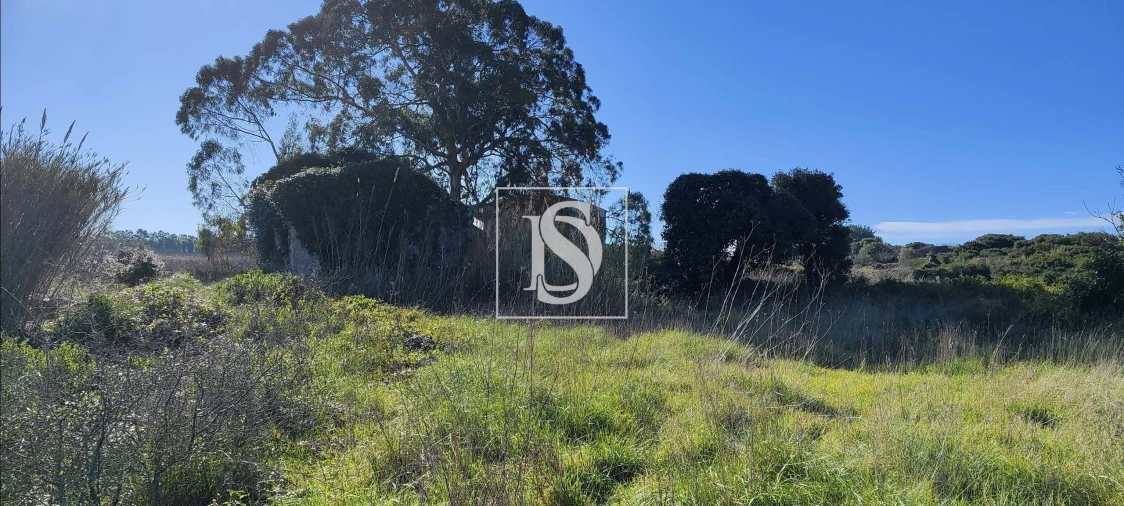 Terreno para Venda em Reguengo Grande Foto 15