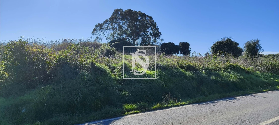 Terreno para Venda em Reguengo Grande Foto 19