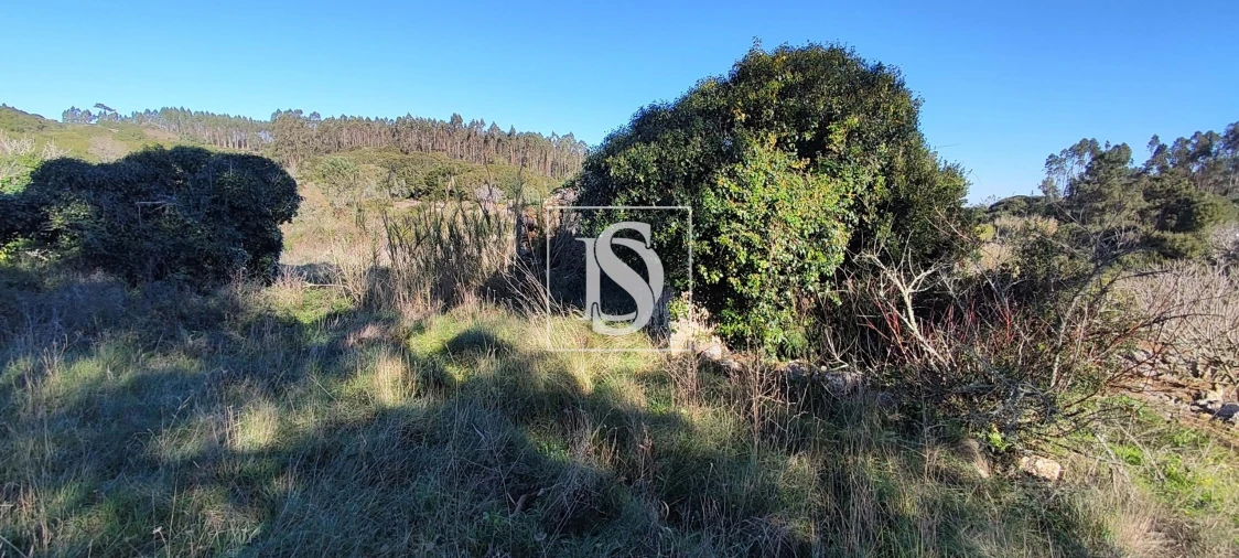 Terreno para Venda em Reguengo Grande Foto 11