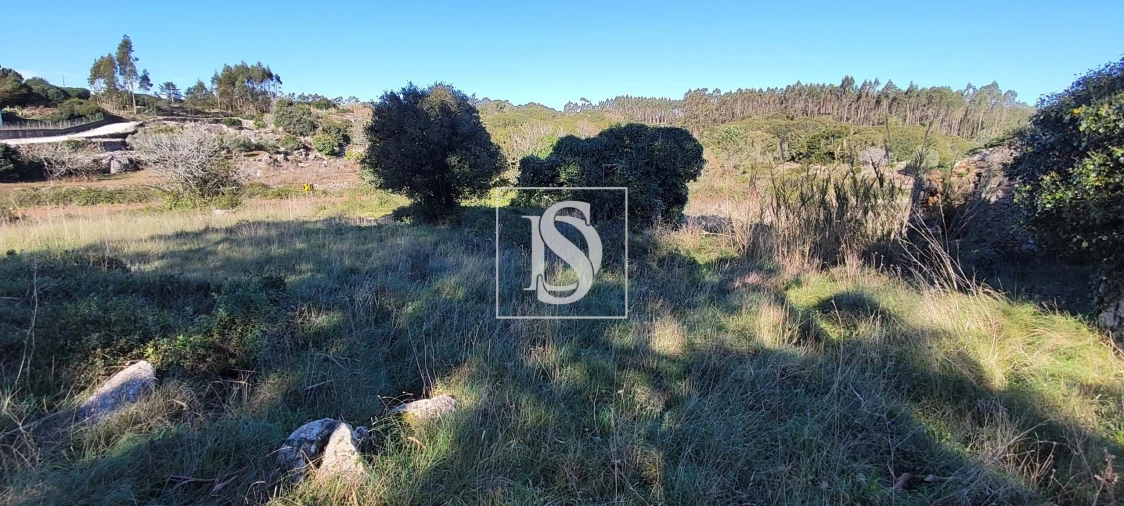 Terreno para Venda em Reguengo Grande Foto 10